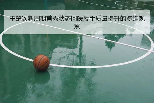 王楚钦新周期首秀状态回暖反手质量提升的多维观察